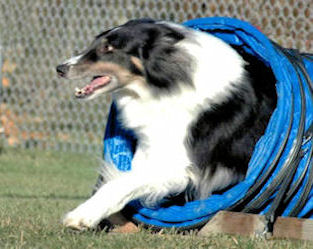Elvis coming out of a blue tunnel
