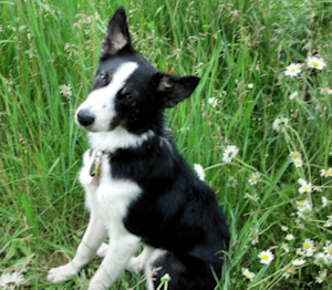 Dude at 6 months old